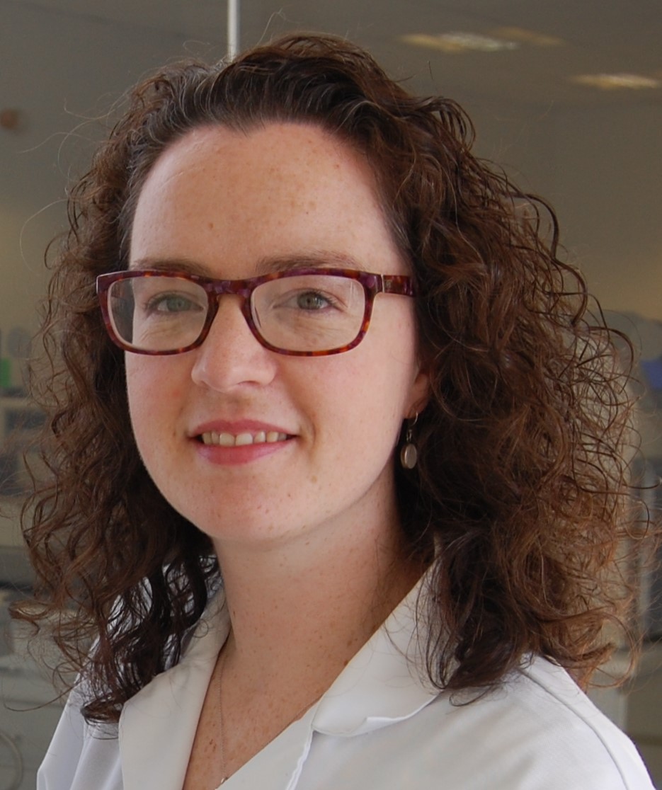 Dr Maeliosa McCrudden